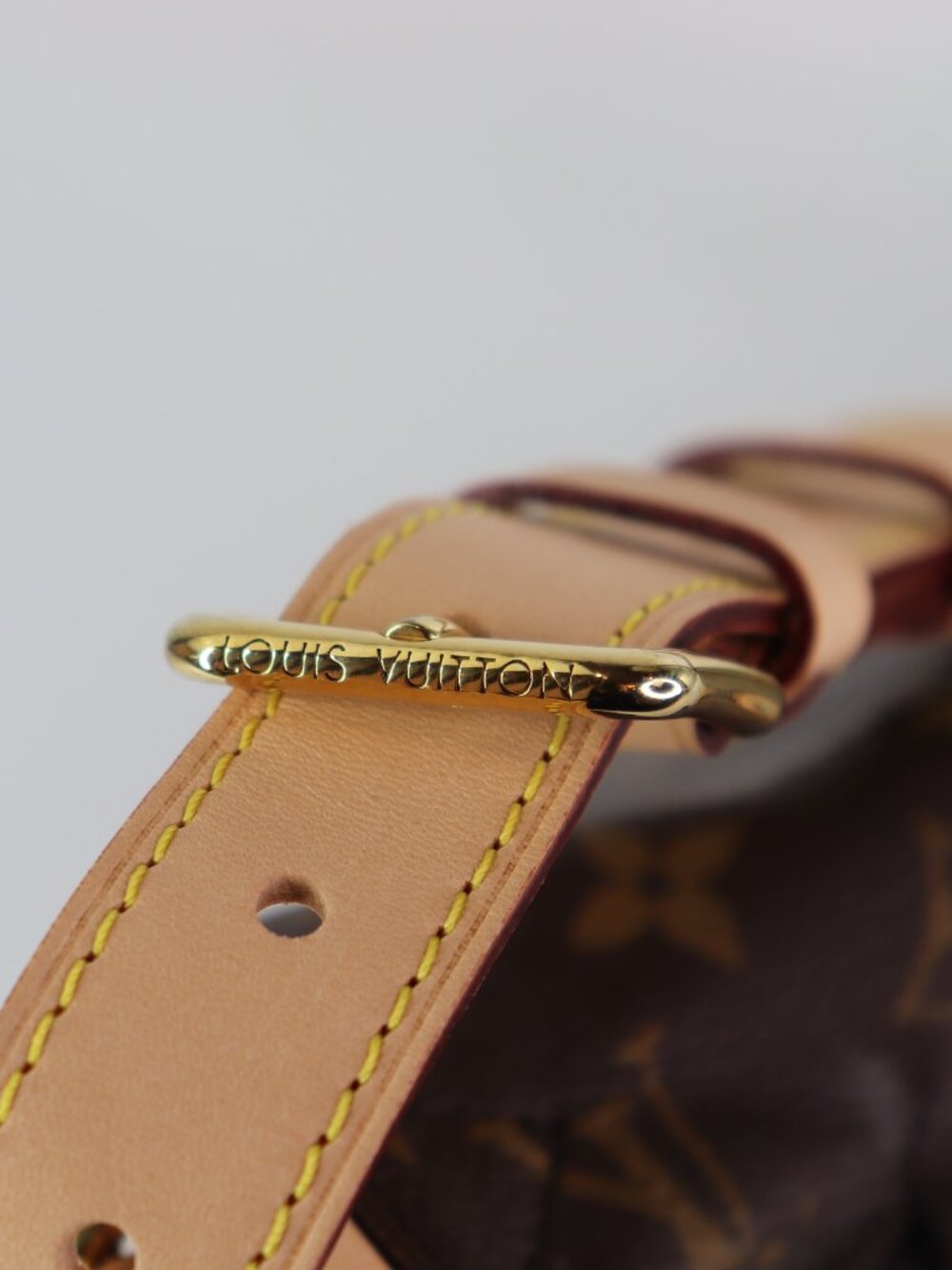 Louis Vuitton Monogram Bumbag - Picture 7 of 16